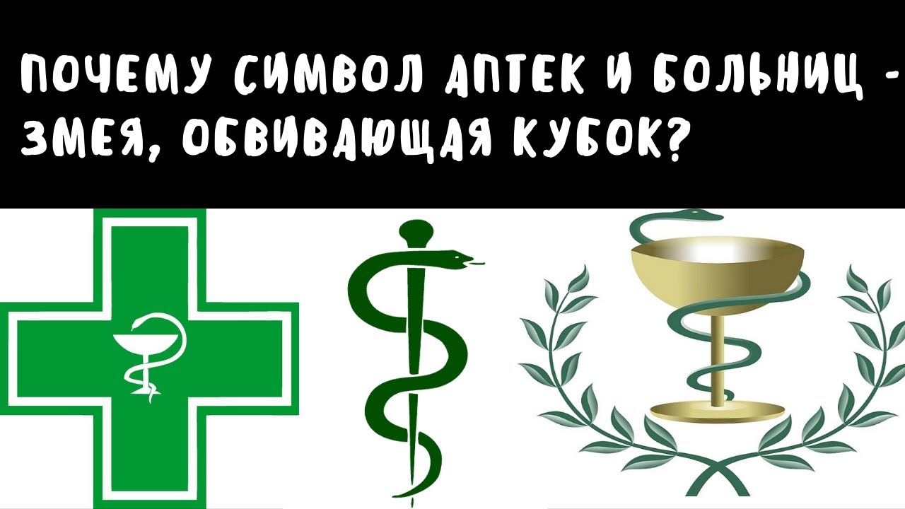 Почему символ аптек и больниц - змея, обвивающая кубок? | Занимательный факт