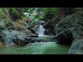 Sleep Easily Tonight with Gentle Waterfall Flow for Relaxation and Calm Mind Reset