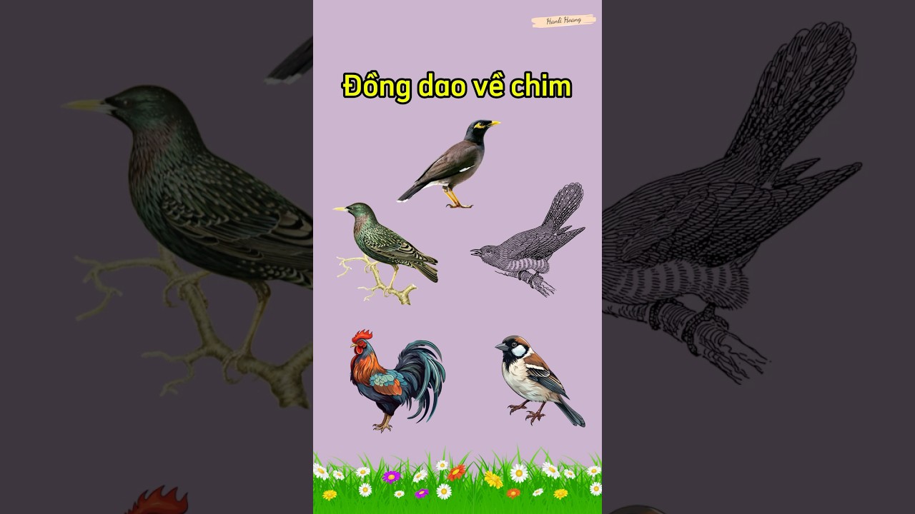 Đồng dao: “VỀ CHIM” || Bài đồng dao hay cho trẻ mầm non || Bài đồng dao cho trẻ 3 tuổi || Bé học nói