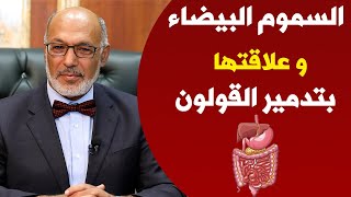 أستاذ جراحة المناظير والجهاز الهضمي يوضح عادات يوميه تدمير القولون  | الدكتور ماجد بسيوني