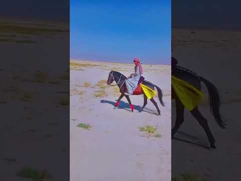 سرباز گھوڑا گروف کربلہ میدان Horseriding Horse 100million