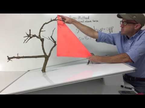 Sine Method -