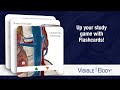 Visible Body | Flashcards — Create Animated Flashcards