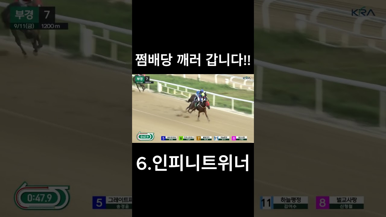 쩜배당 깨러 갑니다   #경마  #경마예상  #경마방송  #경마예상방송  #서울경마  #금요경마  #토요경마  #일요경마 #경마장