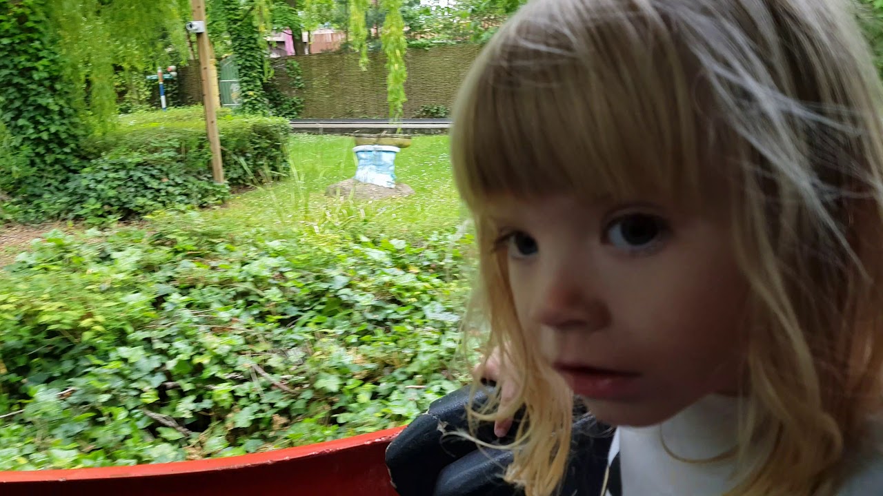 Toadie's Classic Cars, On Ride Footage, Chessington World of Adventure Summer  2019