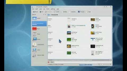 The Dolhpin File Manager
