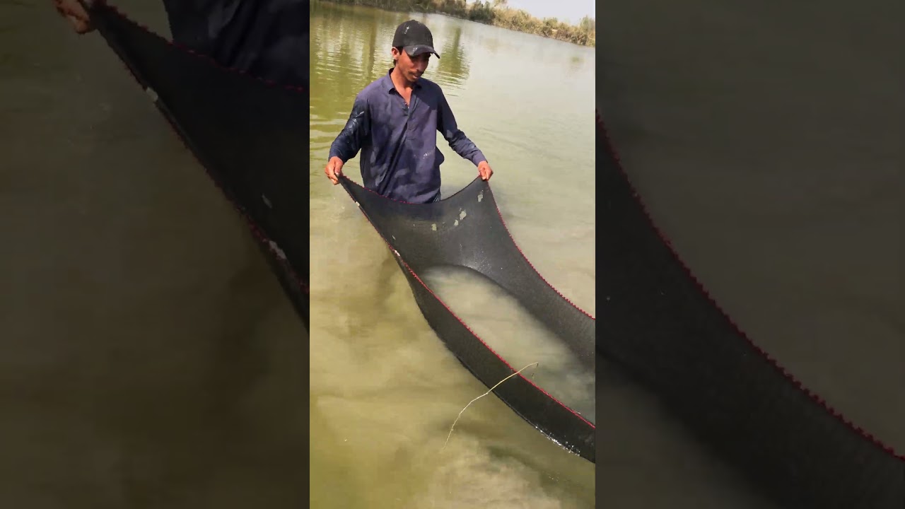 Real Fishing • Real Fun • Real Village Life"😱