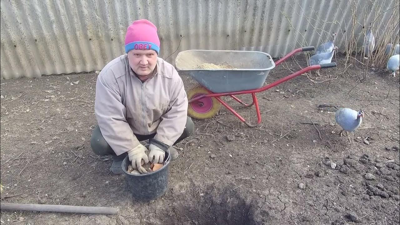 Посадили саженцы. - YouTube