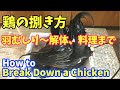 【鶏のさばき方】鶏の解体方法 | 鶏の羽むしりから料理の仕方
