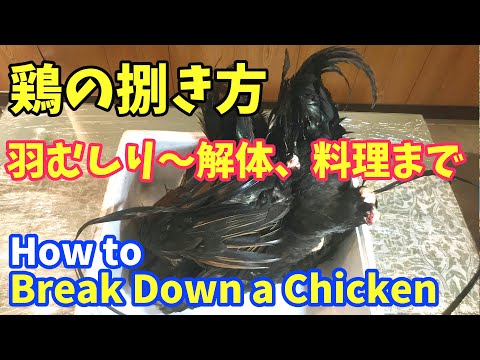 Kuinka leikata koko kana | Kuinka tehdä ramen kananliemellä | Kana -ruoanlaitto -resepti