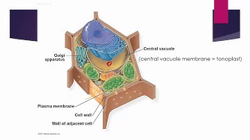 Pre-lab Experiment 2 1440