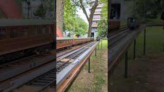 BR03 at the Stormpolder #echtdampf #livesteam #spoor1 #stormpolderrail #modeltrains #railway