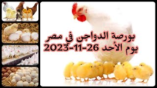 اسعار الفراخ اليوم | سعر الفراخ البيضاء اليوم الأحد2023/11/26 في مصر