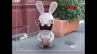  Rabbid Screams Like Kokin-Chan