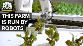 Watch Robots Grow Food Without Farmers