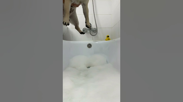 МЫ ПОМЫЛИ ДЖОНИНУ ПОПКУ😍