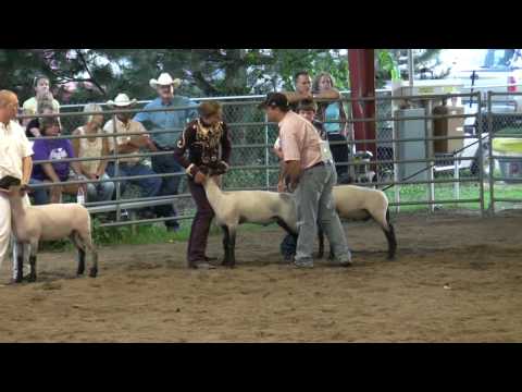 Sr. Round Robin; Swine and Sheep - 2010 Sedgwick C...