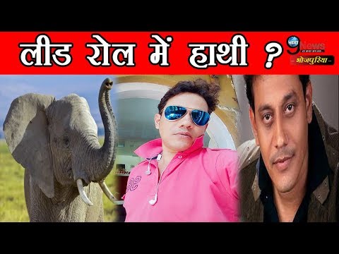 बदलने-वाला-है-भोजपुरी-का-इतिहास,-लीड-रोल-में-दिखेगा-हाथी…-|-elephant-in-bhojpuri-film