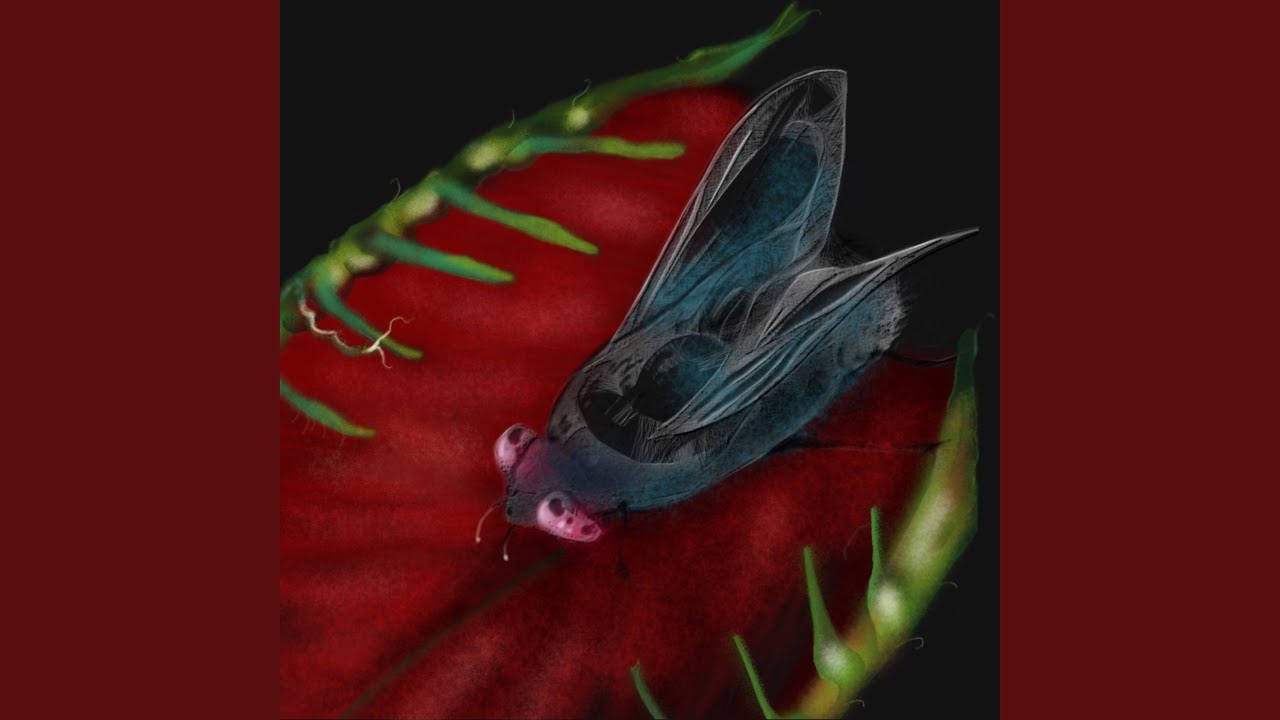 Body Horror - YouTube