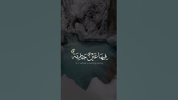 علاج القلب و الروح القرآن الكريم 💜تلاوة هادئة تريح الأعصاب💜 بصوت جميل