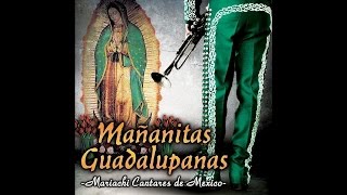 Mariachi Cantares De Mexico - Himno A La Humildad chords