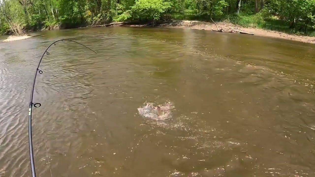 A Rewarding Day Of Big Fish Battles