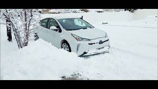 Toyota Prius XLE E-AWD