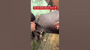 Intravenous injection l dr Umar Khan