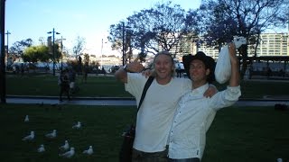 Neg's Urban Sports - Seagulling