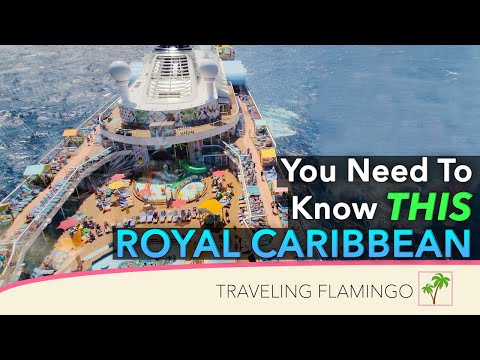 Video: Mangiare a bordo della Royal Caribbean Allure of the Seas