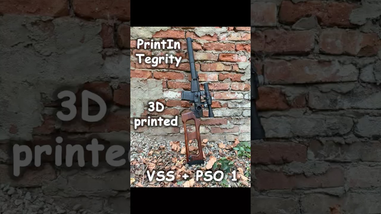 VSS+PSO-1 