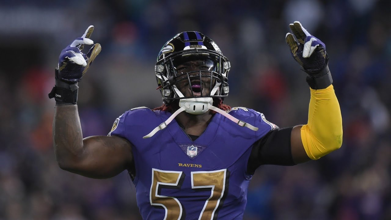 CJ Mosley Career Highlights “Welcome To The Jets"