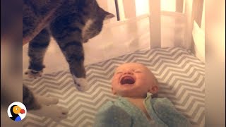 Baby Gets SO EXCITED To See Cat | The Dodo