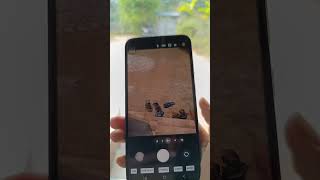 Samsung A 35 camara test #smartphone #unboxing #tech #shorts