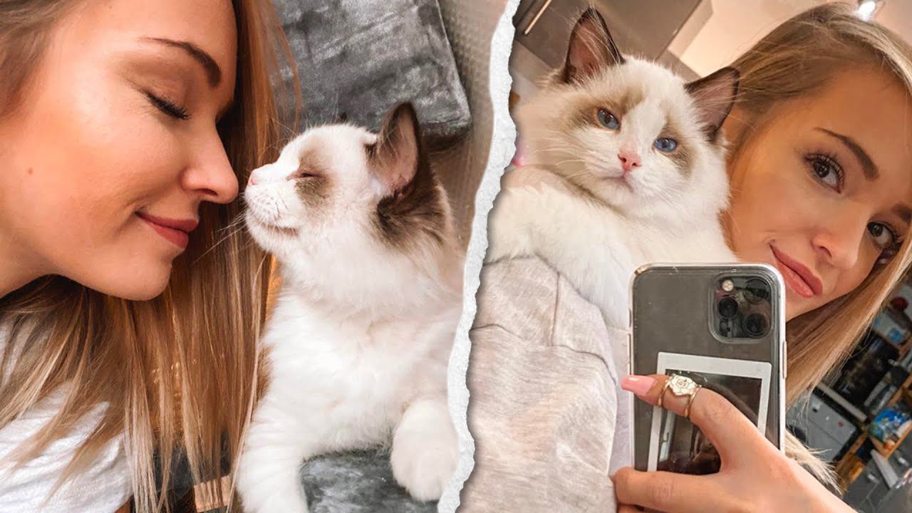 MON NOUVEAU CHAT ! (il est trop mignon)