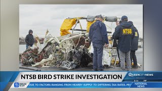 Aviation Analyst: Birds may have caused deadly helicopter crash