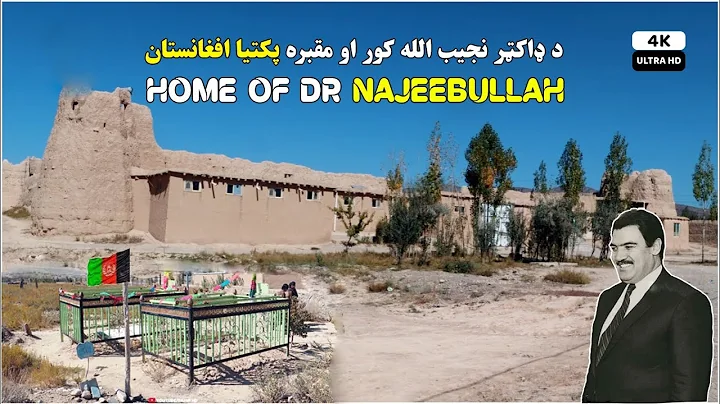 Home of Dr Najeebullah |          | UHD