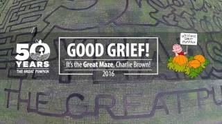 Charlie Brown - Great Pumpkin Maze Design 2016 | Kraay Family Farm