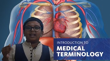 Medical Terminology | MT | Human Anatomy | Basic word structure | Root word | Suffix | Prefix