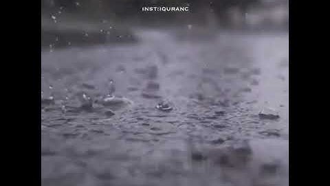 إسلام صبحي..سورة طه.. اللهم اجعلني مقيم الصلاة ومن ذريتي..ربنا وتقبل دعاء...🙌🏻🌸🌿