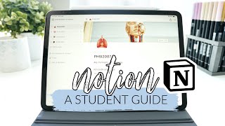 How I use Notion! *as a student* | studycollab: Alicia