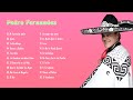 Pedro Fernandez Exitos | Top 20 Mejores Canciones De PEDRO FERNANDEZ