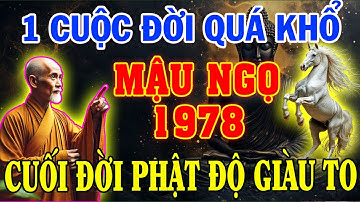 Tuổi MẬU NGỌ 1978 : 1 CUỘC ĐỜI QUÁ KHỔ, CUỐI ĐỜI TRỜI MỚI ĐỘ - Lộ Diện Bí Mật Cuối Đời!