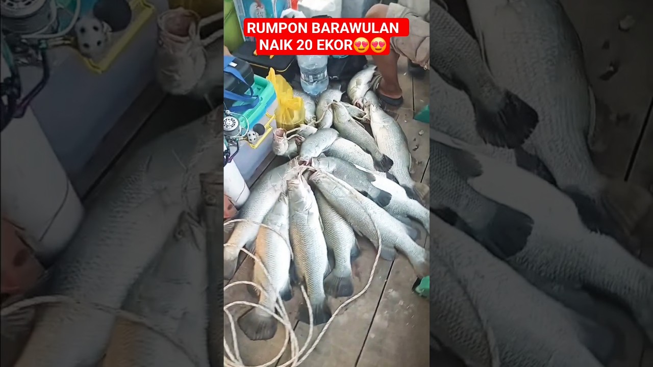 22 juli 2025 rumpon Barawulan menco Wedung Demak 