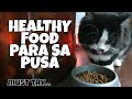 PAANO GUMAWA NG MASUSTASYANG PAGKAIN NG PUSA | PAANO PATABAIN ANG PUSA | HOW TO MAKE CAT FOOD