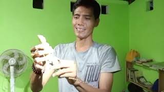PANIK‼️ Biawak Masuk Atap Rumah Warga, Proses Evakuasi Darurat 😱🦎