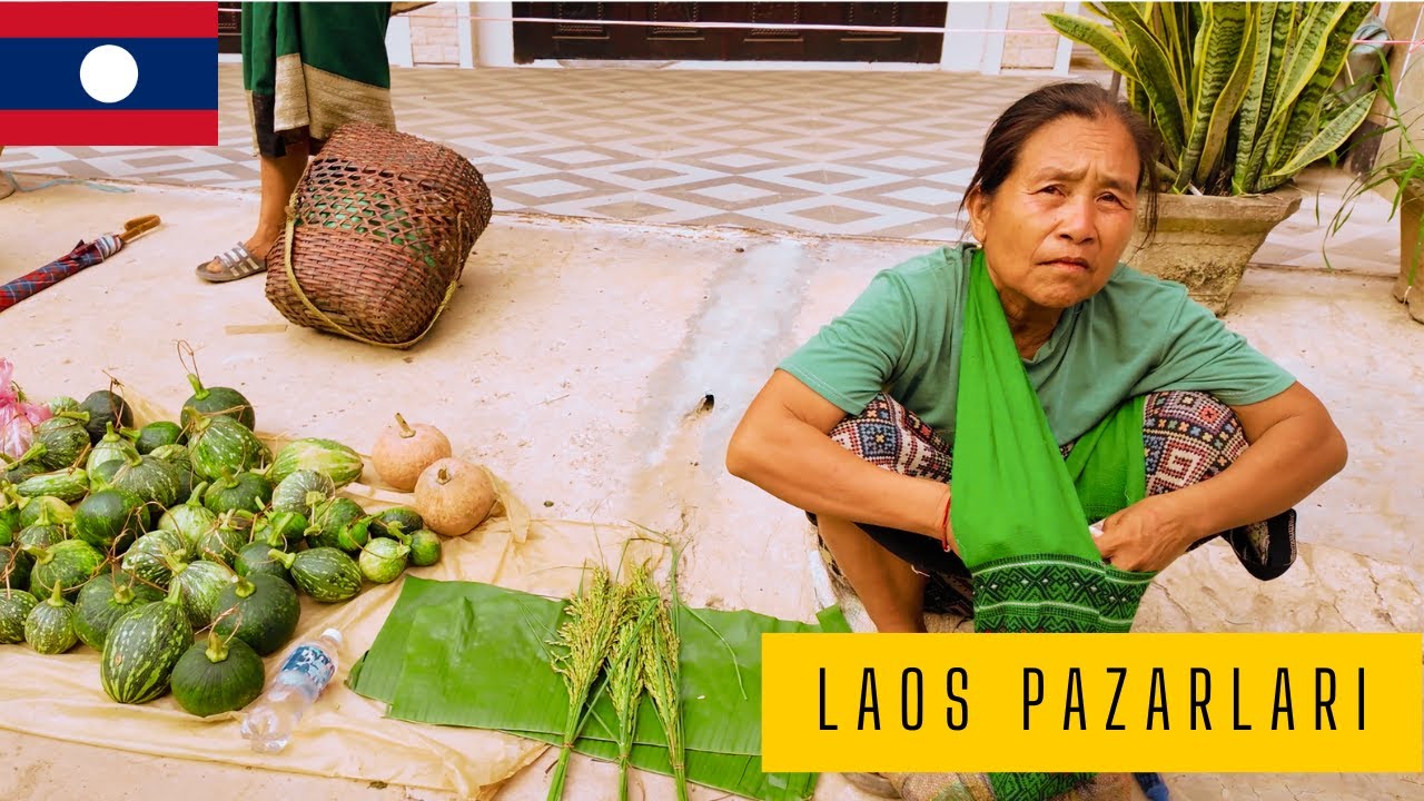 2 Alman 2 Türk Laos'u geziyoruz.