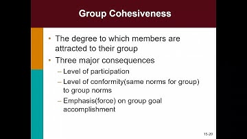 OB- Organizational Behaviour- SE CSE-IT- Group Cohesiveness