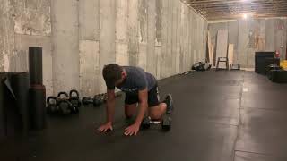 Quadruped lateral dumbbell pull through