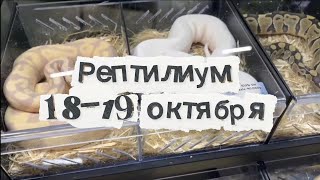 видео: Обзор Рептилиум 18-19 октября картинка: Обзор Рептилиум 18-19 октября